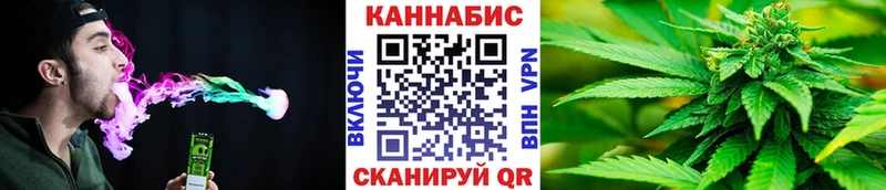 Канабис конопля  Кирсанов 